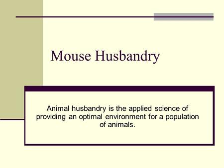 Mouse Husbandry Animal husbandry is the applied science of providing an optimal environment for a population of animals.