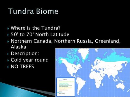 Tundra Biome Where is the Tundra? 50° to 70° North Latitude
