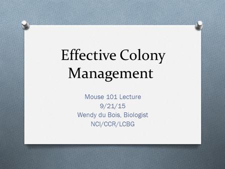 Effective Colony Management