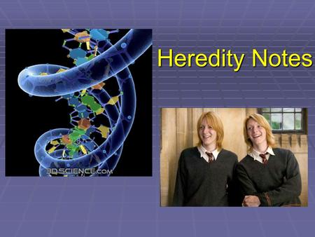 Heredity Notes. DNA  DNA- (Deoxyribonucleic acid)- genetic material that carries the information about an organism and is passed from parent to offspring.