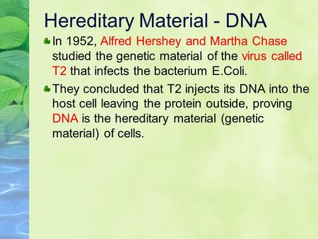 Hereditary Material - DNA In 1952, Alfred Hershey and Martha Chase studied the genetic material of the virus called T2 that infects the bacterium E.Coli.