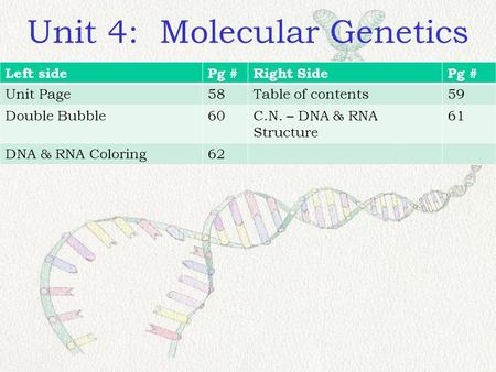 Unit 4: Molecular Genetics Left sidePg #Right SidePg # Unit Page58Table of contents59 Double Bubble60C.N. – DNA & RNA Structure 61 DNA & RNA Coloring62.