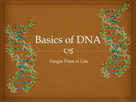 Finger Print of Life.  What does DNA look like?  macroscopic view:  nanoscopic view: