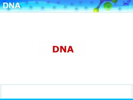 DNA (deoxyribonucleic acid) consists of three components.