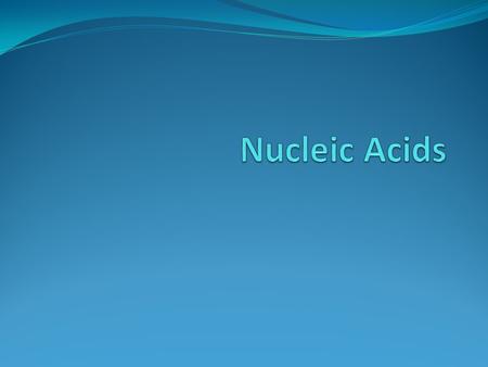 Make-up Nucleic acids form DNA (deoxyribonucleic acid) and RNA (ribonucleic acid) Nucleic acids are polymers, made up of smaller monomers called nucleotides.