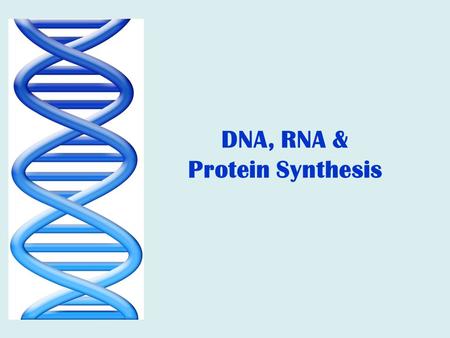 DNA, RNA & Protein Synthesis.