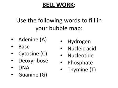 BELL WORK: Use the following words to fill in your bubble map: Adenine (A) Base Cytosine (C) Deoxyribose DNA Guanine (G) Hydrogen Nucleic acid Nucleotide.