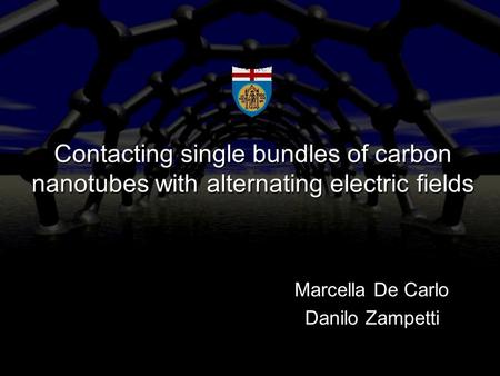 Contacting single bundles of carbon nanotubes with alternating electric fields Marcella De Carlo Danilo Zampetti.