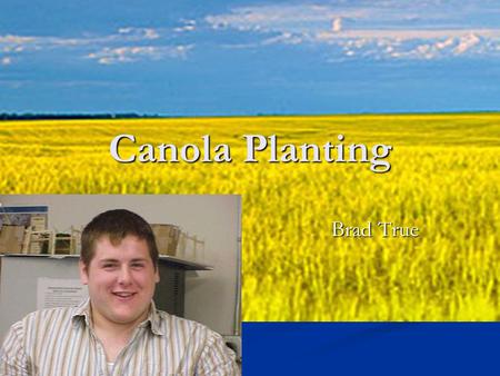 Canola Planting Brad True.
