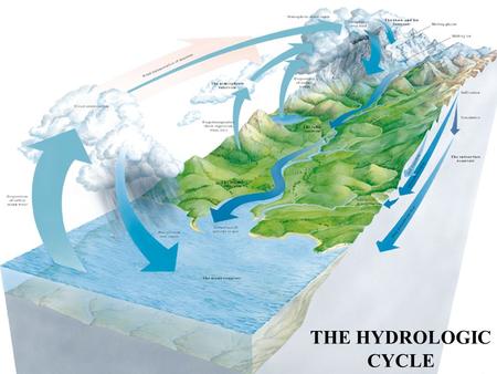 THE HYDROLOGIC CYCLE. The Hydrologic Cycle The Hydrologic Cycle - Fresh Water Storage Reservoir % of Total Fresh Water Glaciers (Frozen)76% Groundwater22%