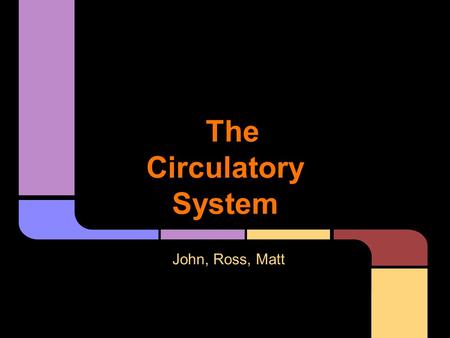 The Circulatory System John, Ross, Matt. Structure (Main components) Divided into 3 main parts: The Heart - Also known as the cardiac muscle. The heart.