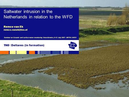 Remco van Ek Saltwater intrusion in the Netherlands in relation to the WFD Seminar on Ground- and surface water monitoring Smardzewice,