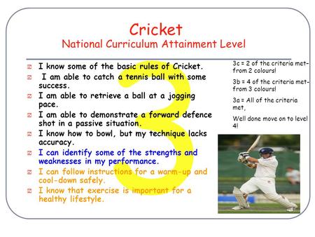 3 Cricket  I know some of the basic rules of Cricket.  I am able to catch a tennis ball with some success.  I am able to retrieve a ball at a jogging.