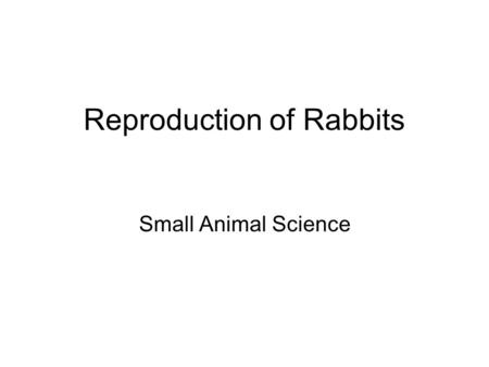 Reproduction of Rabbits Small Animal Science. 1. Rabbits become sexually mature at ____ to 8 months of age depending on the _______________. The miniature.