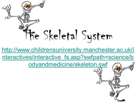 The Skeletal System  nteractives/interactive_fs.asp?swfpath=science/b odyandmedicine/skeleton.swf.