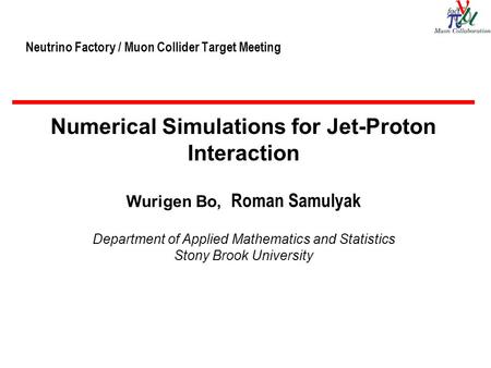 Neutrino Factory / Muon Collider Target Meeting Numerical Simulations for Jet-Proton Interaction Wurigen Bo, Roman Samulyak Department of Applied Mathematics.