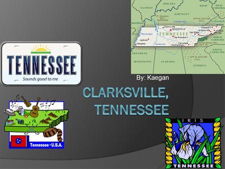 By: Kaegan Plants and animals and buildings! Tennessee Area and Population  Tennessee is an area that covers 42,143 square miles (109,247 sq. kilometers),