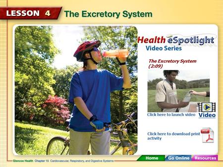 The Excretory System (2:09) Click here to launch video Click here to download print activity.