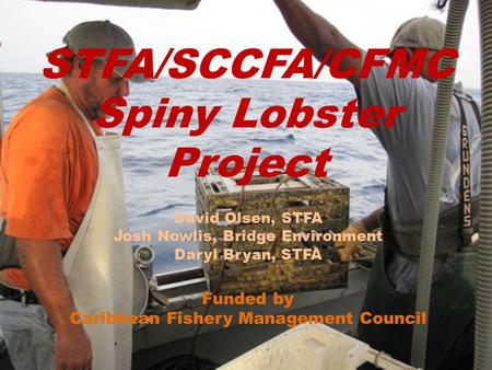 STFA/SCCFA/CFMC Spiny Lobster Project David Olsen, STFA Josh Nowlis, Bridge Environment Daryl Bryan, STFA Funded by Caribbean Fishery Management Council.
