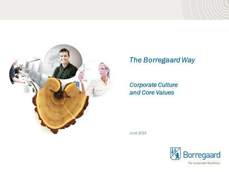 The Borregaard Way Corporate Culture and Core Values June 2014.