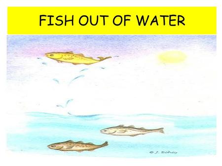 FISH OUT OF WATER.