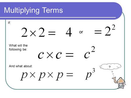 If: What will the following be: And what about: Multiplying Terms or ?