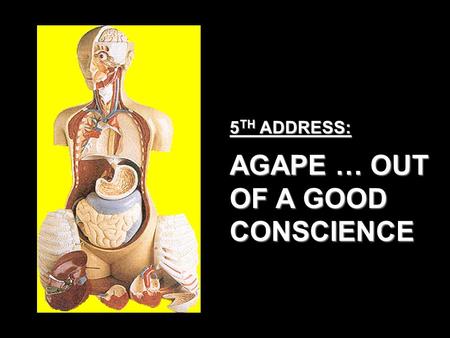 5 TH ADDRESS: AGAPE … OUT OF A GOOD CONSCIENCE. SELF DECEPTION YOUR CONSCIENCE LIFE EXPERIENCES LOWER COURT SPIRITUAL RESOURCES HUMAN RESOURCES UPPER.