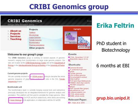 Grup.bio.unipd.it CRIBI Genomics group Erika Feltrin PhD student in Biotechnology 6 months at EBI.