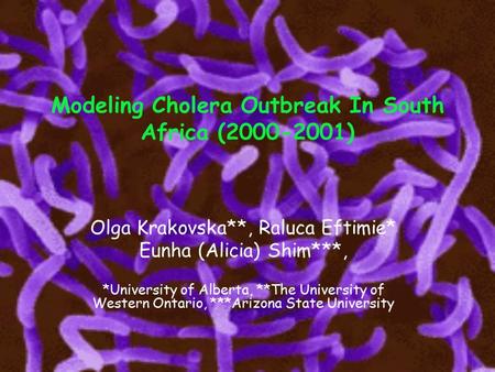 Modeling Cholera Outbreak In South Africa (2000-2001) Olga Krakovska**, Raluca Eftimie* Eunha (Alicia) Shim***, *University of Alberta, **The University.