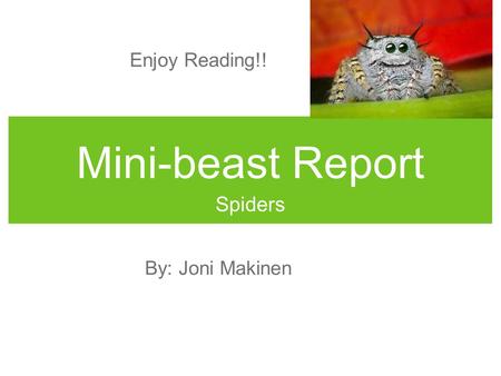 Mini-beast Report Spiders By: Joni Makinen Enjoy Reading!!