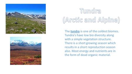 Tundra (Arctic and Alpine)