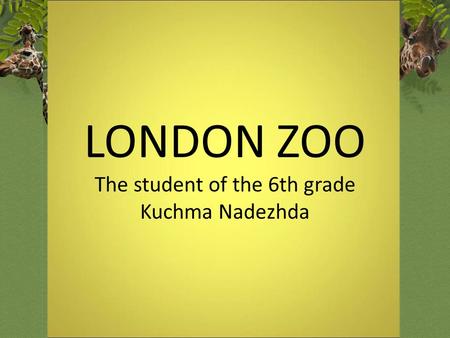 LONDON ZOO The student of the 6th grade Kuchma Nadezhda.