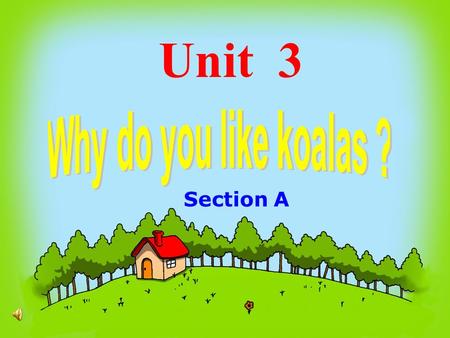 Unit 3 Why do you like koalas ? Section A.