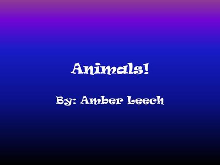 Animals! By: Amber Leech.