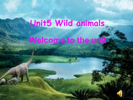 Unit5 Wild animals Welcome to the unit. chicken cat bird dog horse duck.