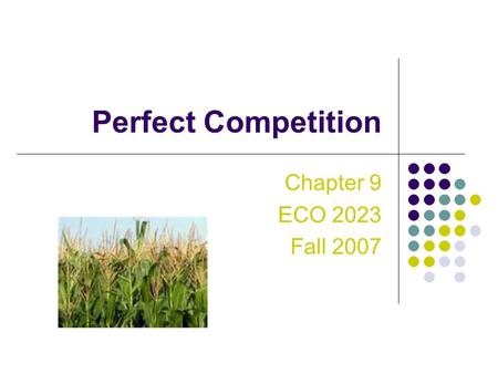 Perfect Competition Chapter 9 ECO 2023 Fall 2007.