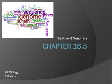 The Rise of Genomics AP Biology Fall 2010. The Human Genome Project  With the invention of PCR and automated sequencing, scientists argued for the sequencing.