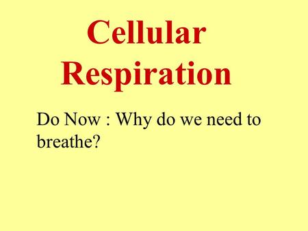 Cellular Respiration Do Now : Why do we need to breathe?