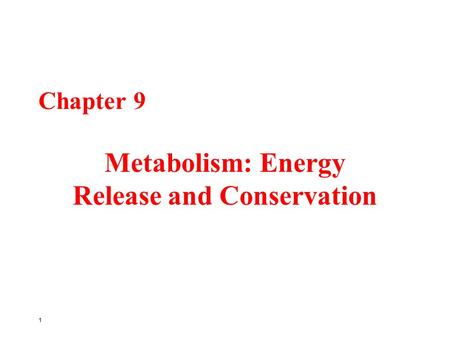 Metabolism: Energy Release and Conservation