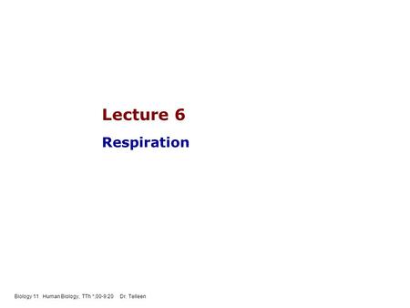 Biology 11 Human Biology, TTh *;00-9:20 Dr. Telleen Lecture 6 Respiration.