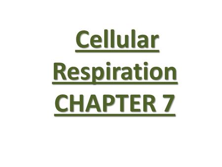 Cellular Respiration CHAPTER 7
