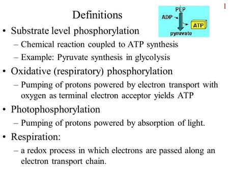 Definitions Substrate level phosphorylation