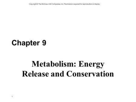 Copyright © The McGraw-Hill Companies, Inc. Permission required for reproduction or display. 1 Chapter 9 Metabolism: Energy Release and Conservation.
