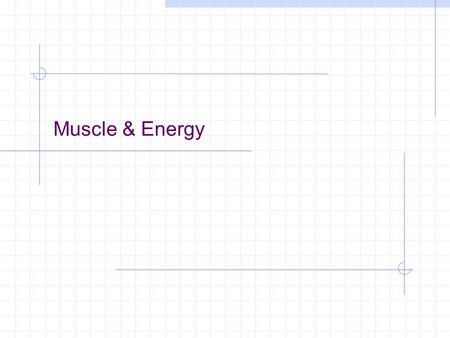 Muscle & Energy Intro A single muscle fiber contains 15 billion thick filaments During active contraction, 2500 ATP molecules are used-PER SECOND!! muscles.
