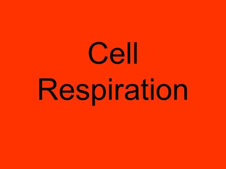 Cell Respiration Cell Respiration is a process your cells do to make energy. You need to breathe in order for your cells to do the process of cell respiration.