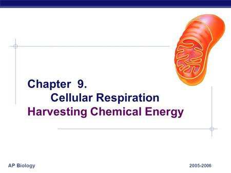 AP Biology 2005-2006 Chapter 9. Cellular Respiration Harvesting Chemical Energy.