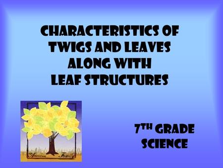 Characteristics of Twigs and leaves Along with Leaf Structures