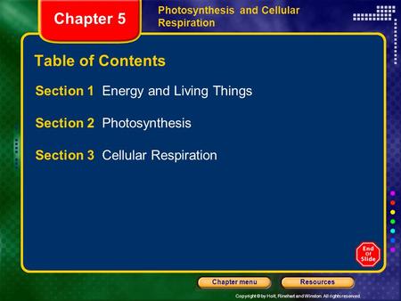 Chapter 5 Table of Contents Section 1 Energy and Living Things