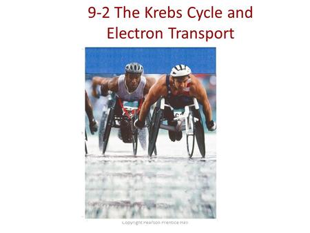 9-2 The Krebs Cycle and Electron Transport