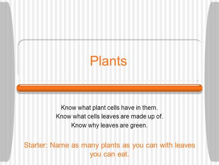Plants Know what plant cells have in them. Know what cells leaves are made up of. Know why leaves are green. Starter: Name as many plants as you can with.
